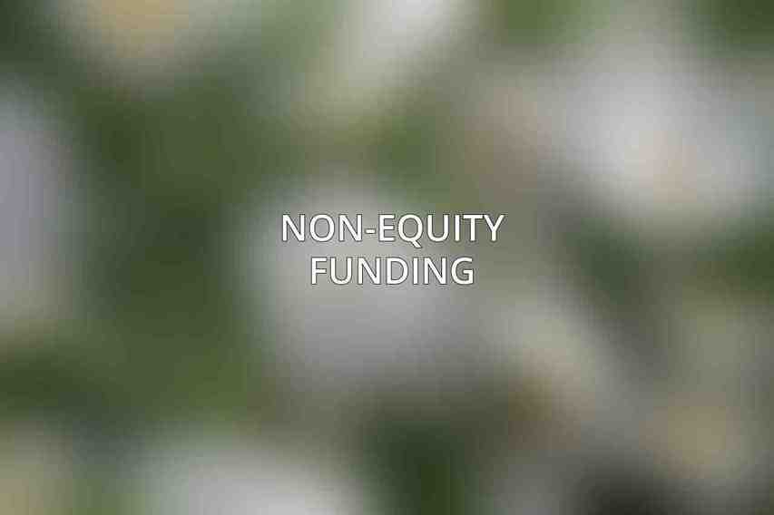 Non-Equity Funding