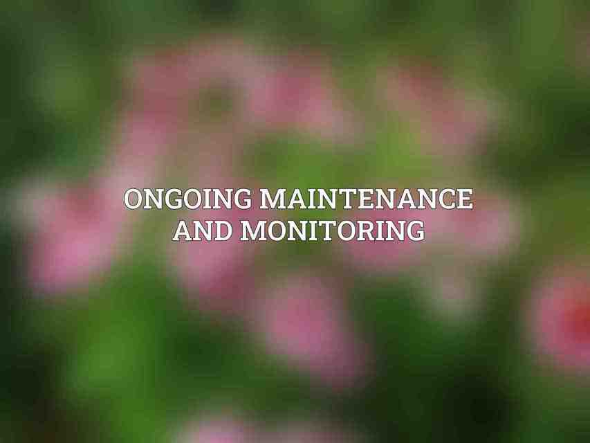 Ongoing Maintenance and Monitoring