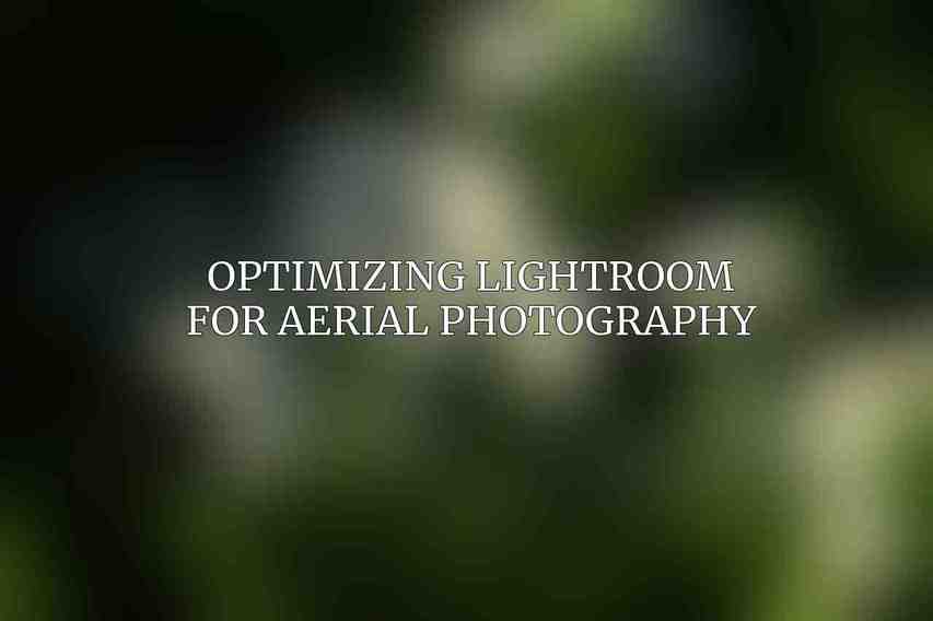 Optimizing Lightroom for Aerial Photography
