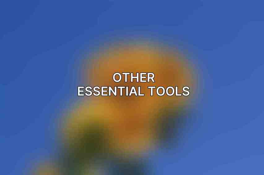 Other Essential Tools