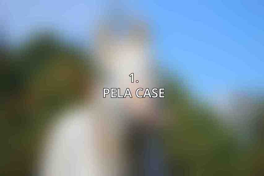 1. Pela Case
