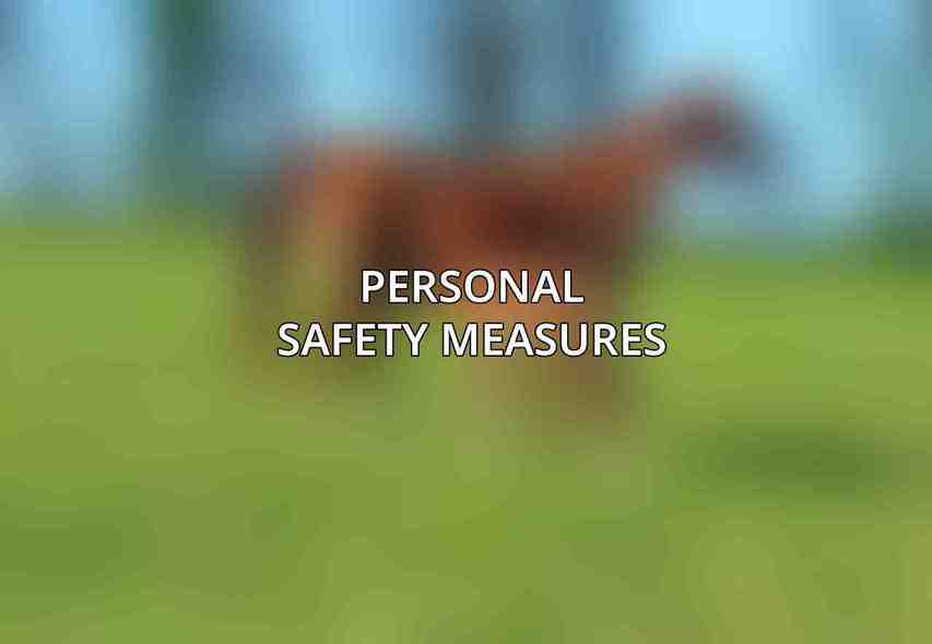Personal Safety Measures