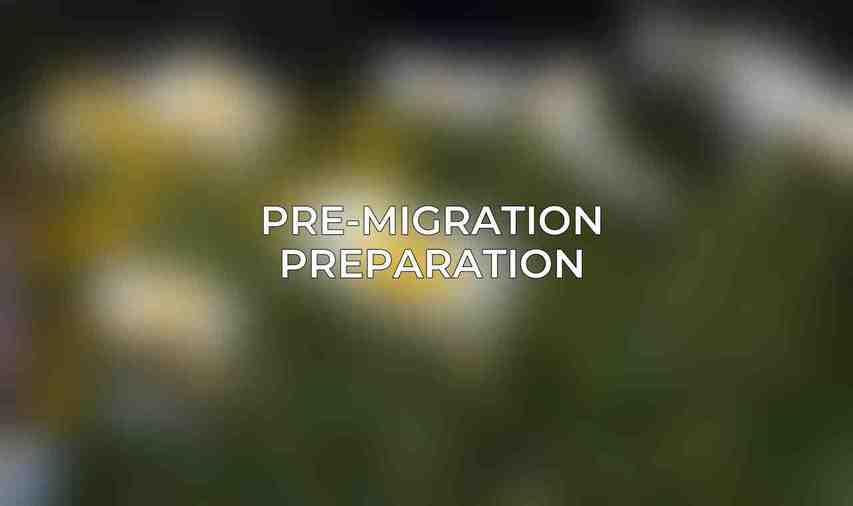 Pre-Migration Preparation