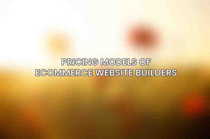 Pricing Models of eCommerce Website Builders