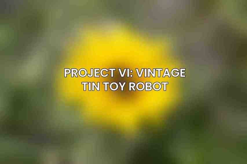 Project VI: Vintage Tin Toy Robot
