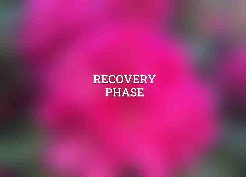 Recovery Phase