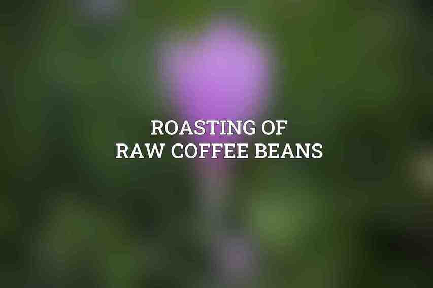 Roasting of Raw Coffee Beans