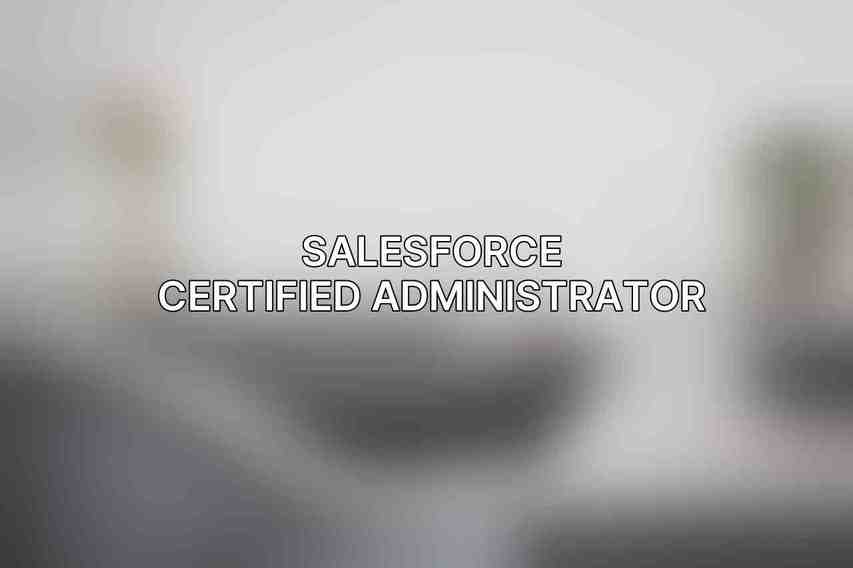 Salesforce Certified Administrator: