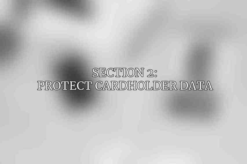 Section 2: Protect Cardholder Data