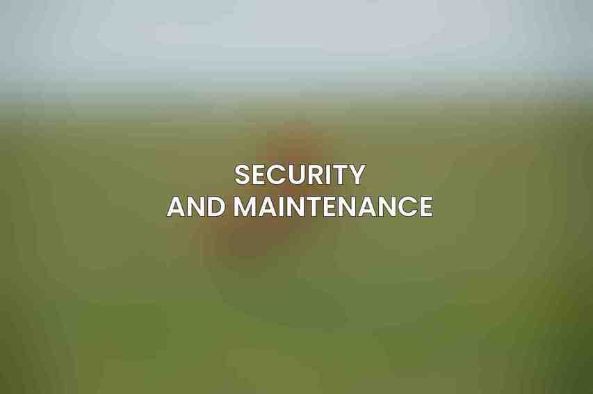 Security and Maintenance