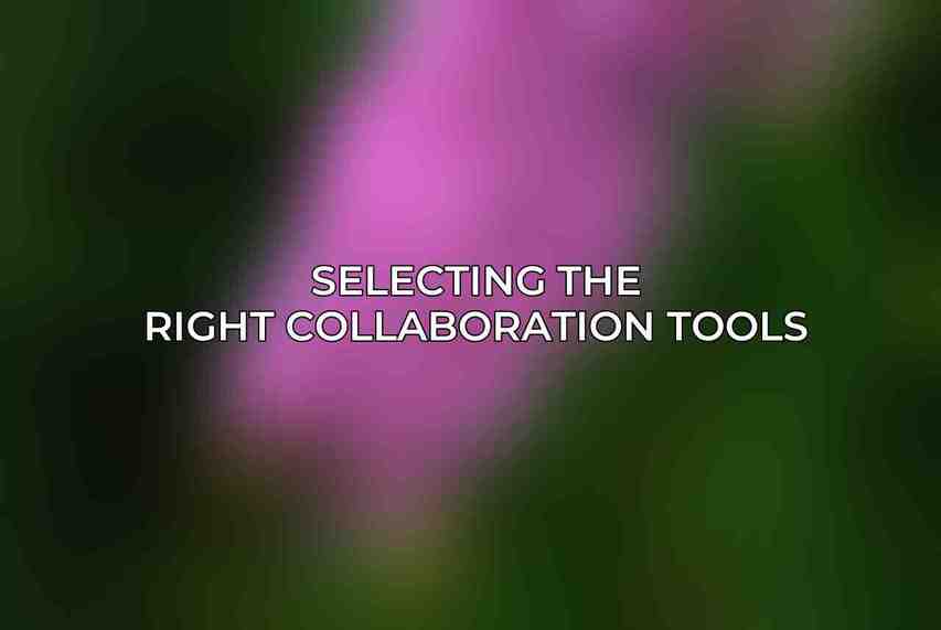 Selecting the Right Collaboration Tools: