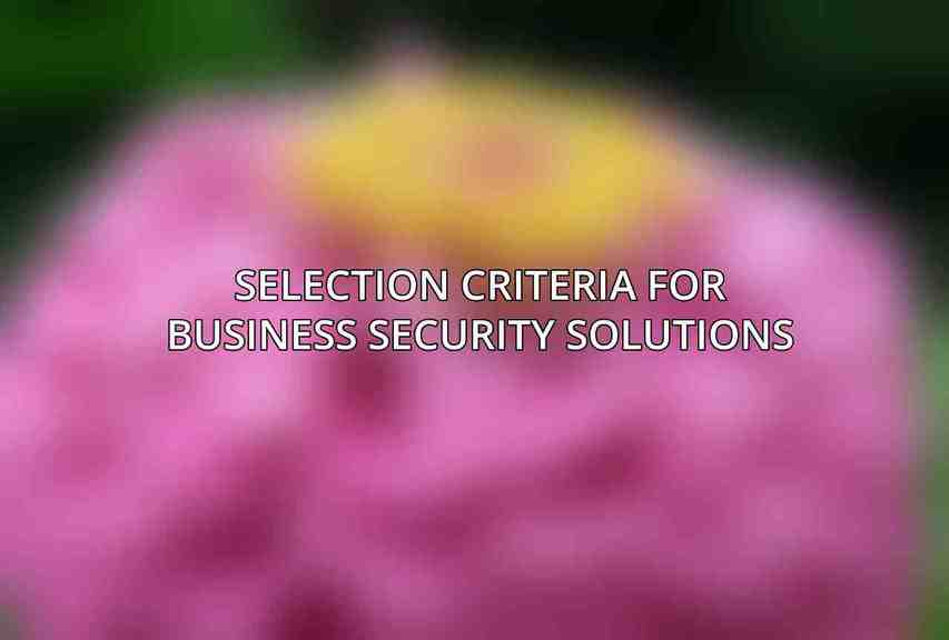 Selection Criteria for Business Security Solutions