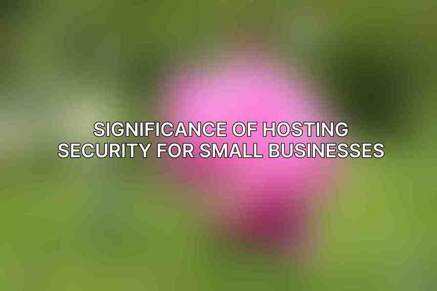 Significance of Hosting Security for Small Businesses