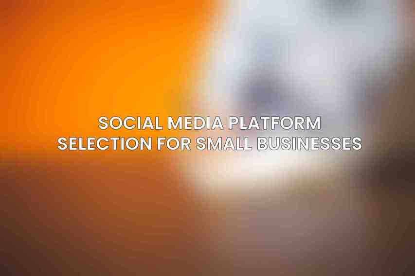Social Media Platform Selection for Small Businesses