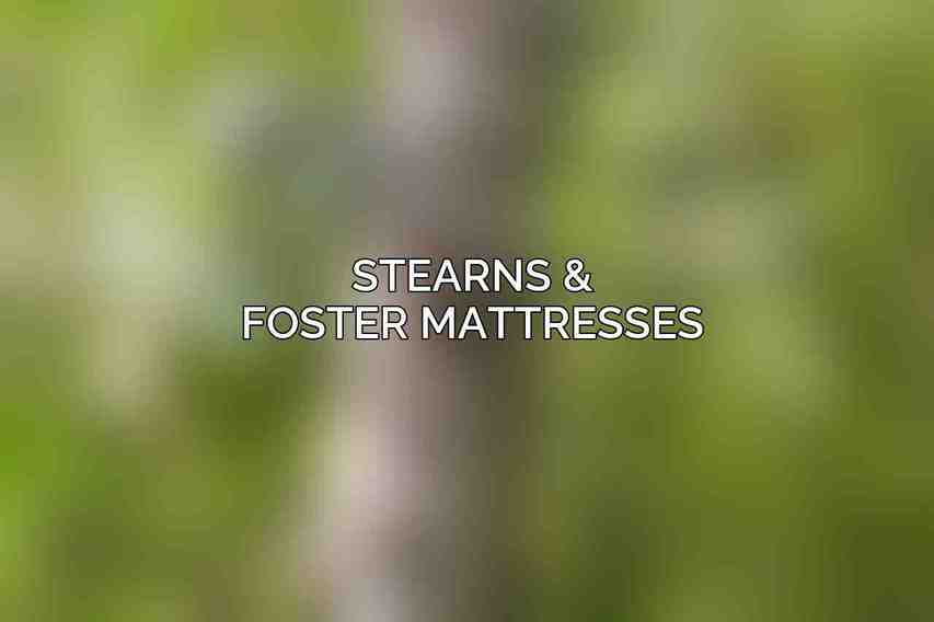 Stearns & Foster Mattresses