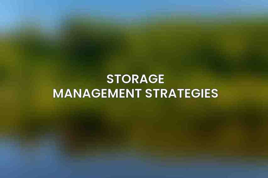 Storage Management Strategies