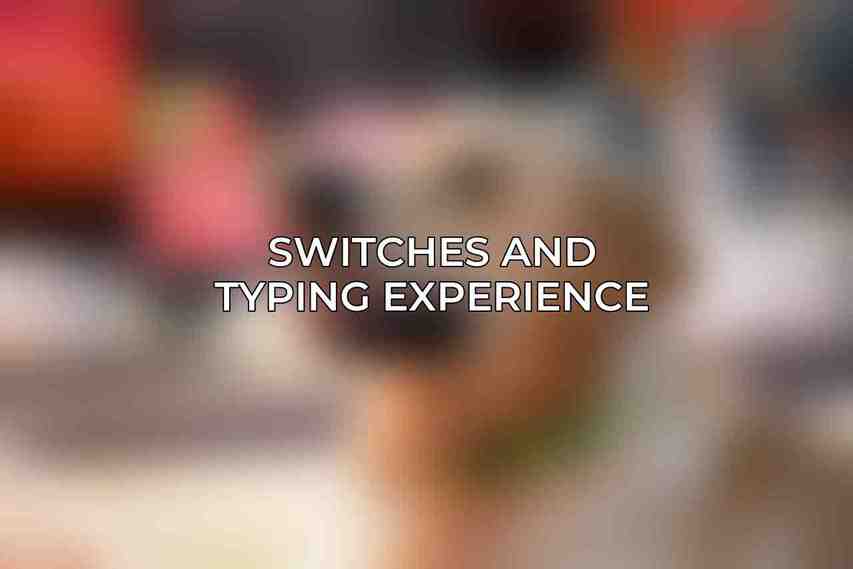 Switches and Typing Experience