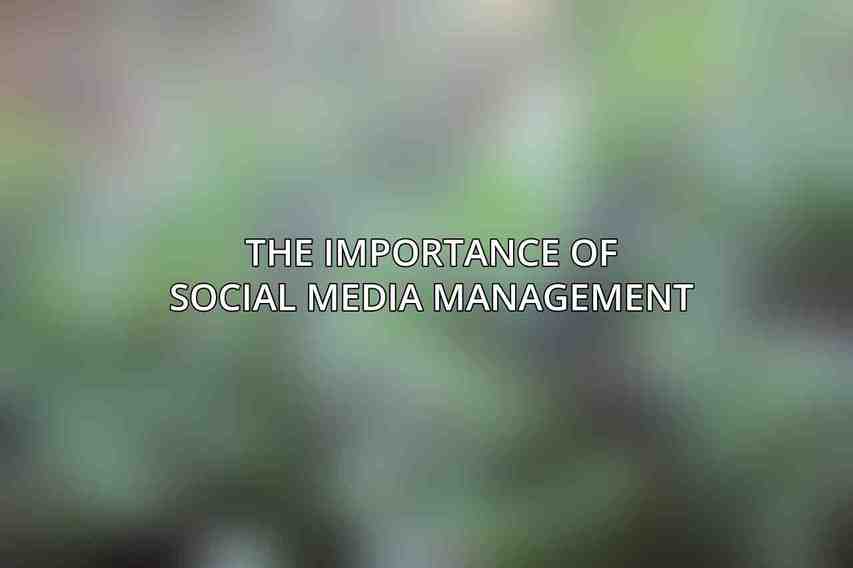 The Importance of Social Media Management