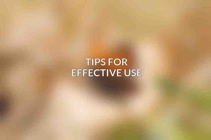 Tips for Effective Use