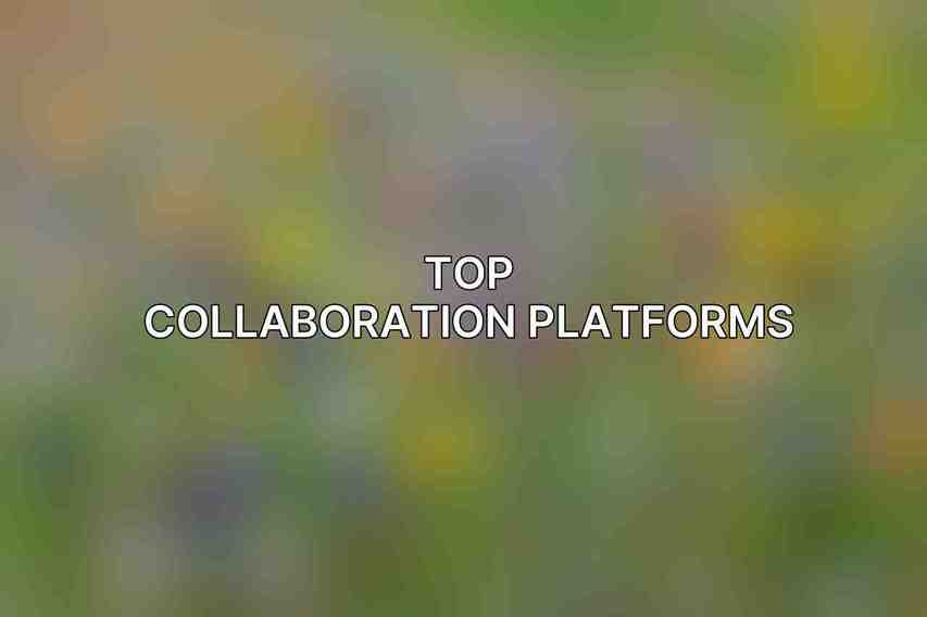 Top Collaboration Platforms