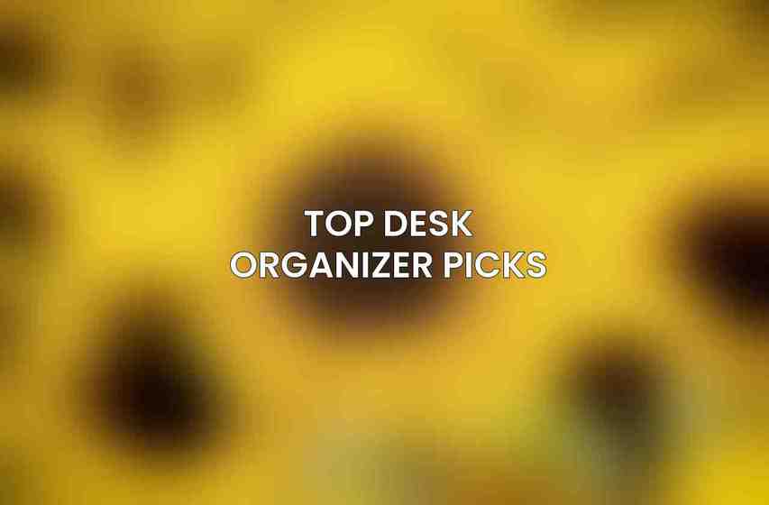 Top Desk Organizer Picks