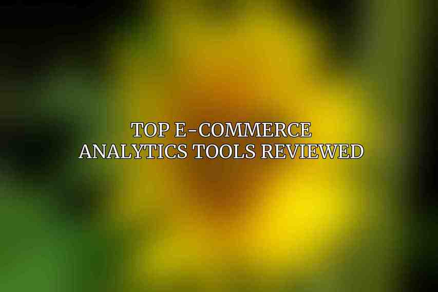 Top E-commerce Analytics Tools Reviewed