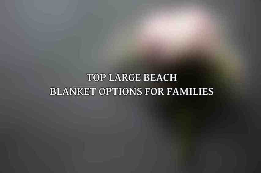 Top Large Beach Blanket Options for Families