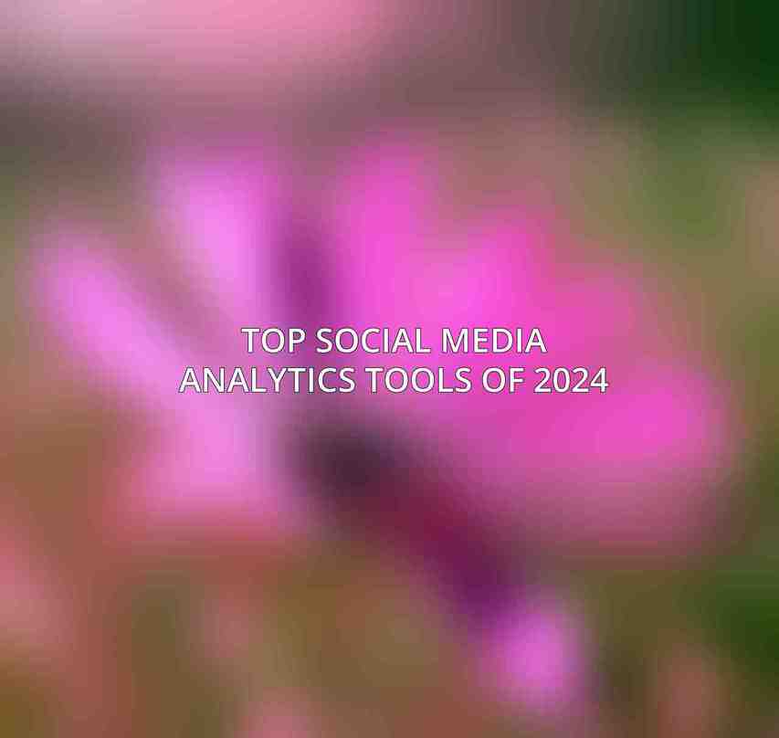 Top Social Media Analytics Tools of 2024
