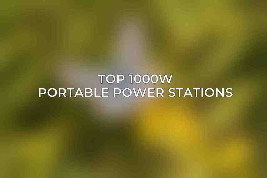 Top 1000W Portable Power Stations