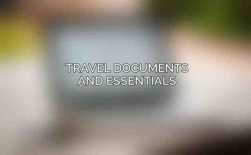 Travel Documents and Essentials