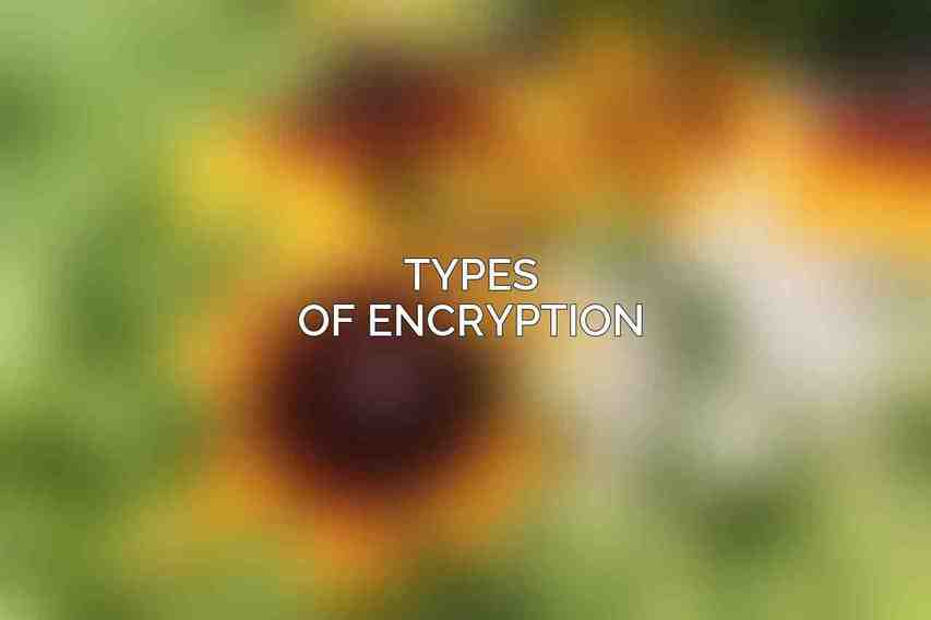 Types of Encryption: