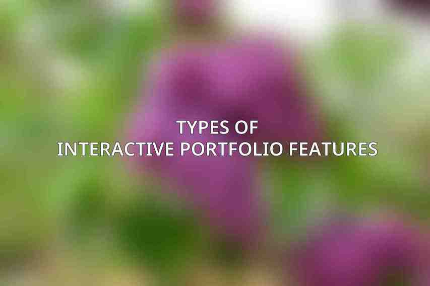 Types of Interactive Portfolio Features