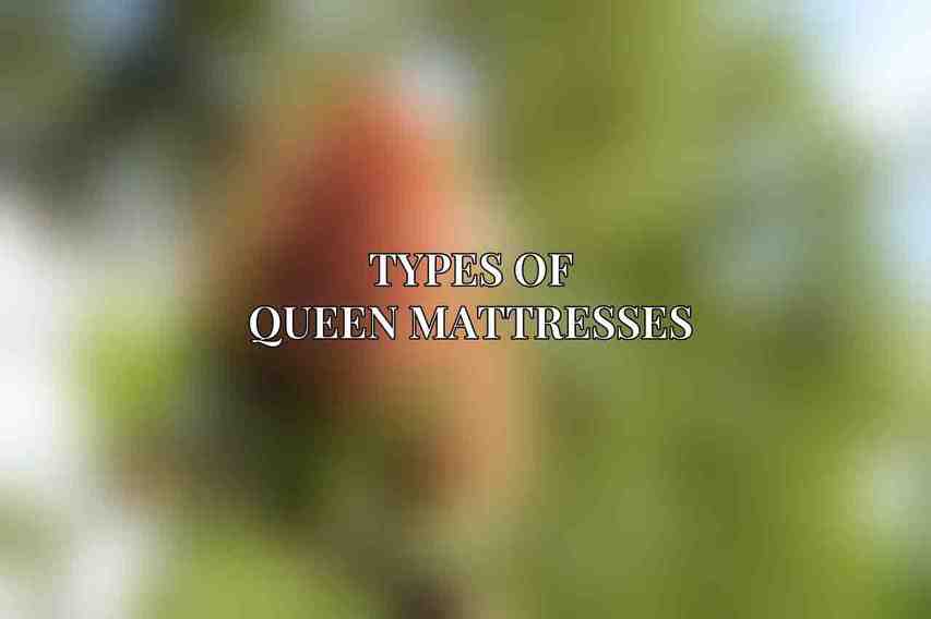 Types of Queen Mattresses