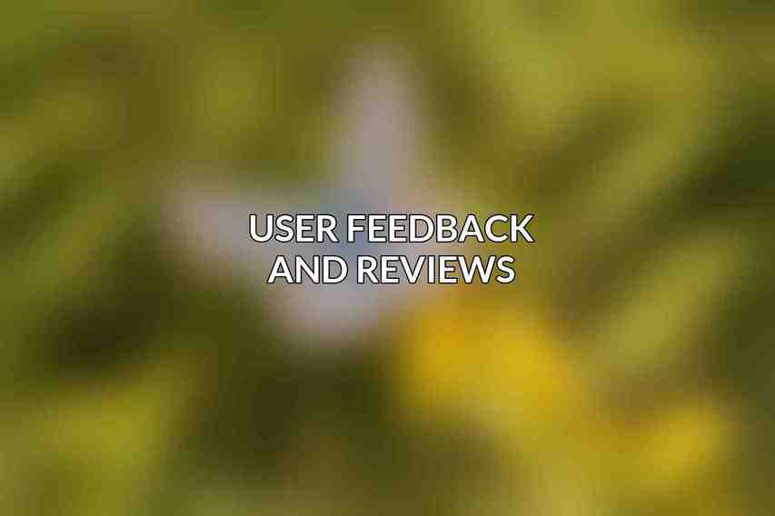 User Feedback and Reviews