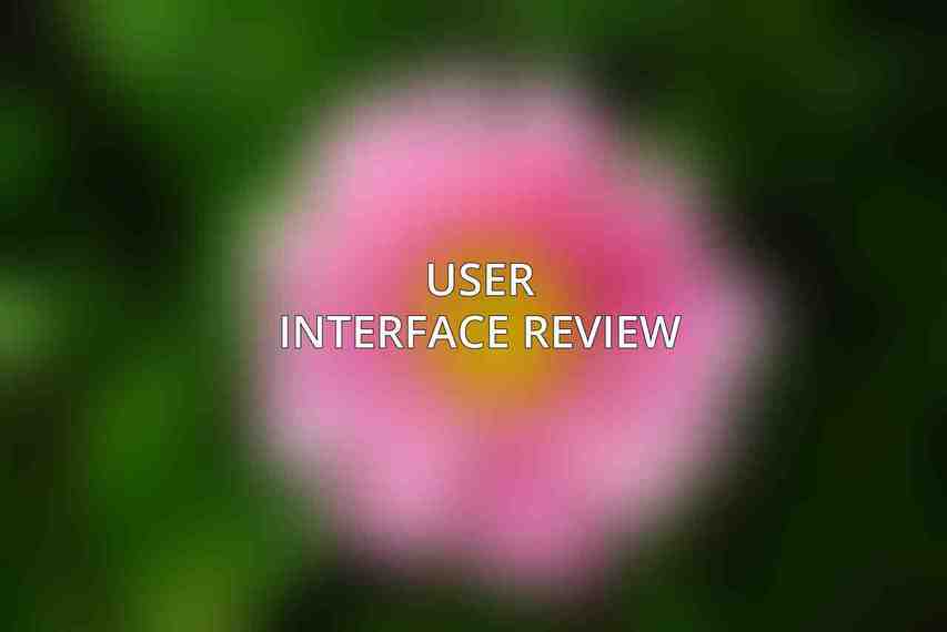 User Interface Review