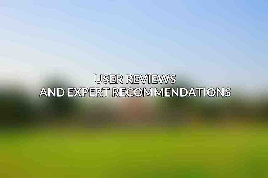 User Reviews and Expert Recommendations