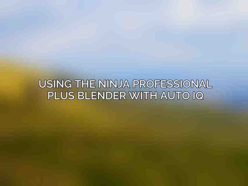 Using the Ninja Professional Plus Blender with Auto IQ