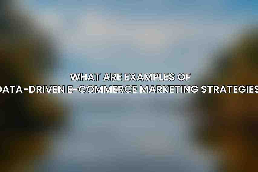 What are examples of data-driven e-commerce marketing strategies?