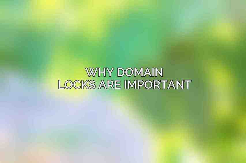 Why Domain Locks are Important