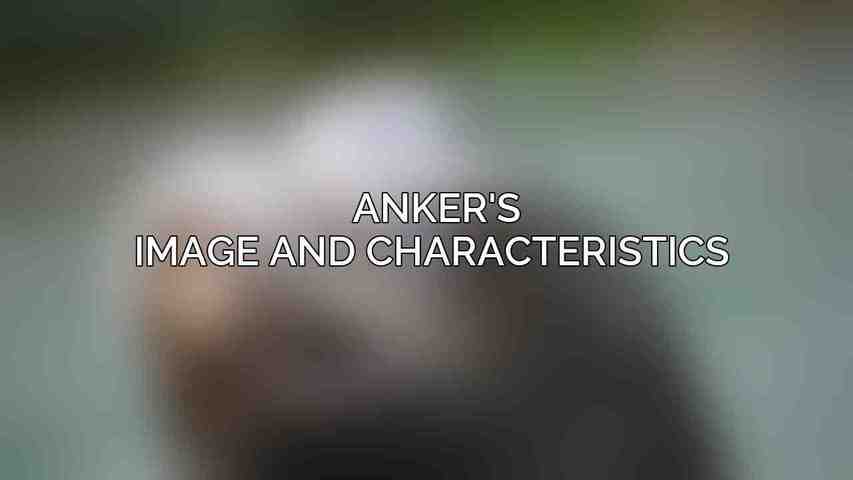  Anker's Image and Characteristics