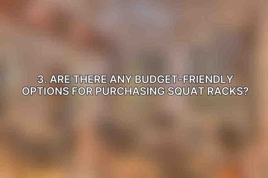 3. Are there any budget-friendly options for purchasing squat racks?