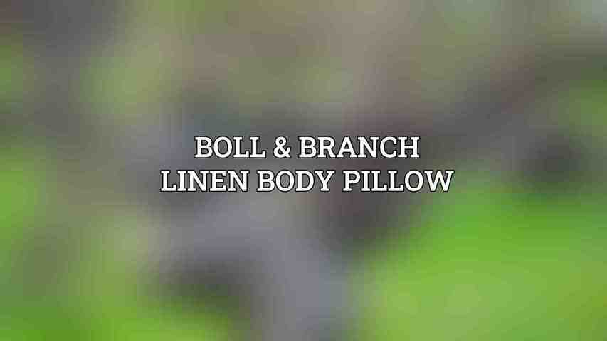 Boll & Branch Linen Body Pillow