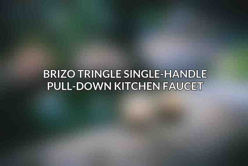 Brizo Tringle Single-Handle Pull-Down Kitchen Faucet