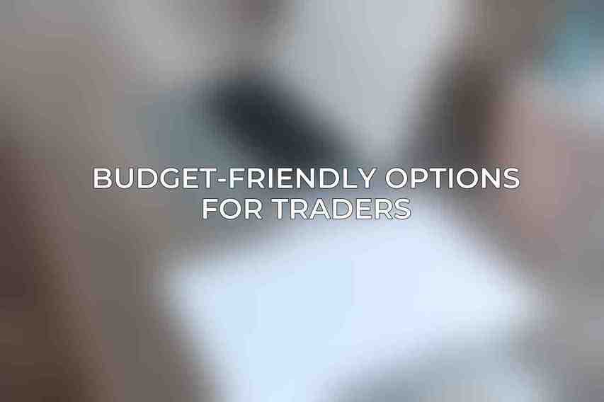 Budget-Friendly Options for Traders