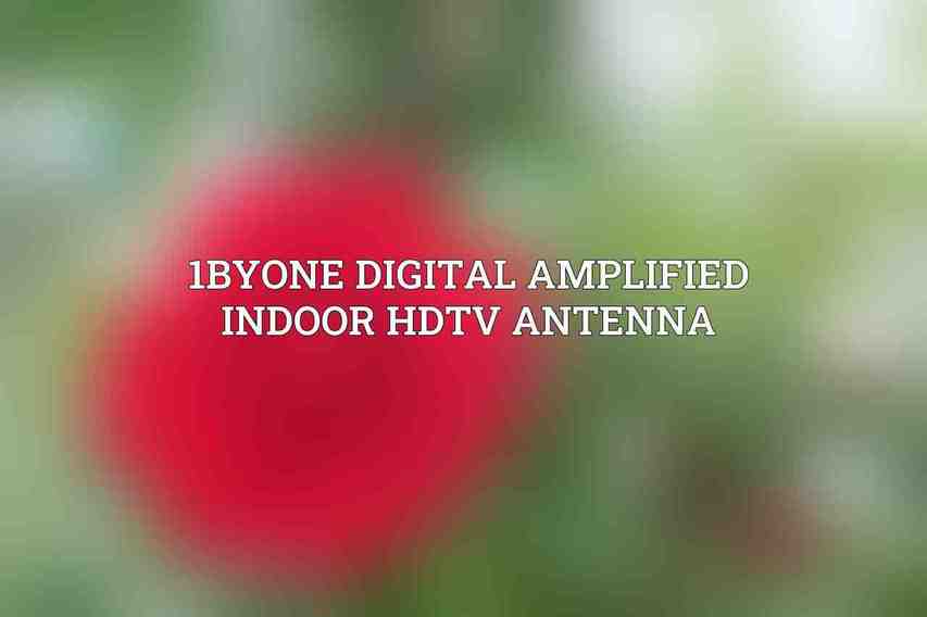 1byone Digital Amplified Indoor HDTV Antenna