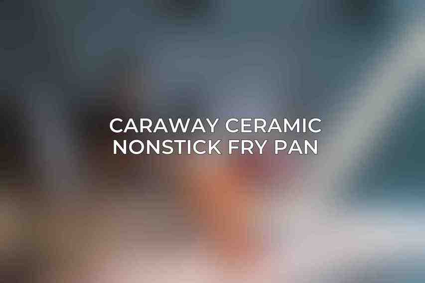 Caraway Ceramic Nonstick Fry Pan