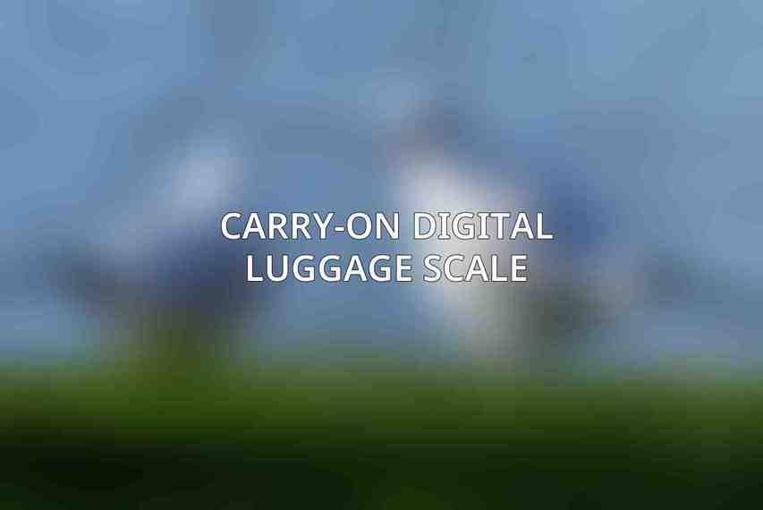 Carry-on Digital Luggage Scale