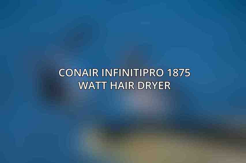 Conair InfinitiPro 1875 Watt Hair Dryer