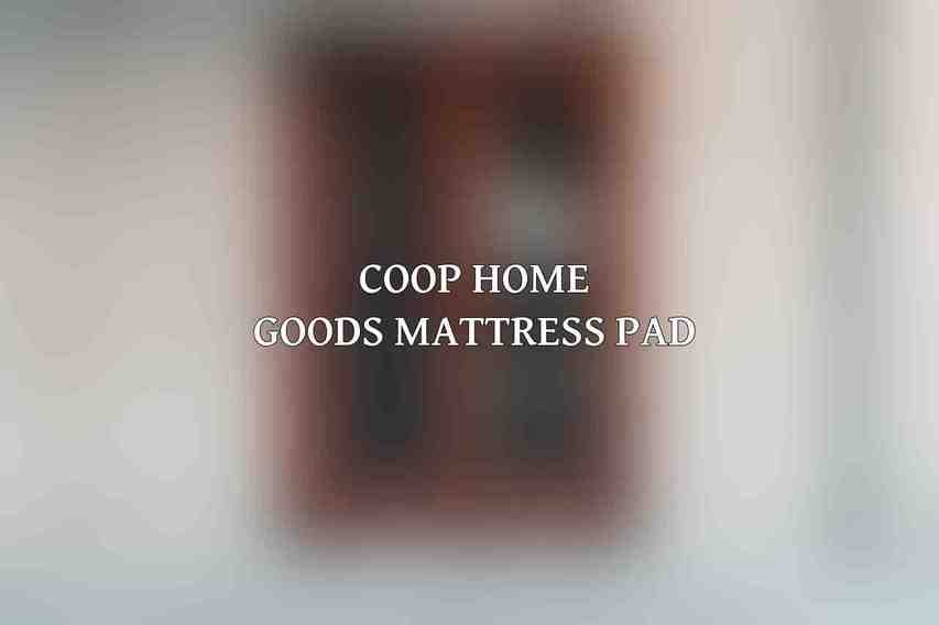 Coop Home Goods Mattress Pad
