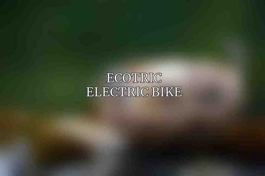 Ecotric Electric Bike